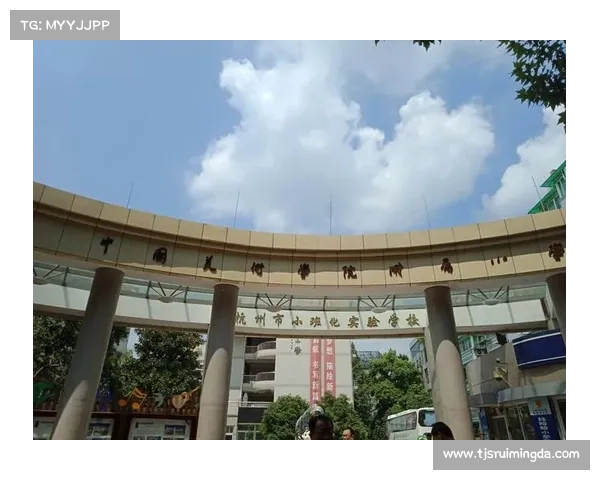 如何有效提升太古龙魂力量并充分发挥其战斗潜力的方法与技巧