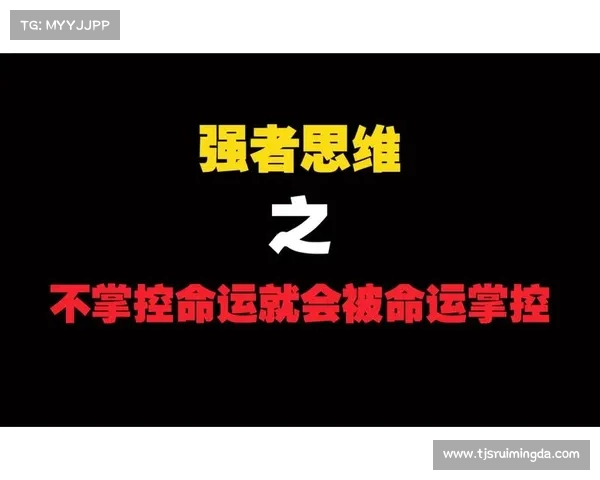 掌控命运的终极战斗法则与策略：如何在复杂世界中决定自己的未来与方向