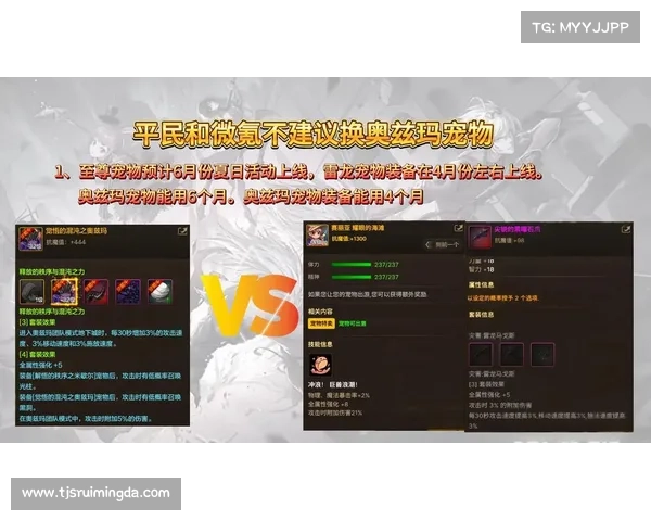 五一套最强搭配与极致优势全面解析打造节日巅峰实力排行榜