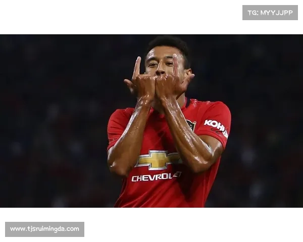 从林加德言行看调侃的模糊边界娱乐背后是否潜藏深层误解成因探讨