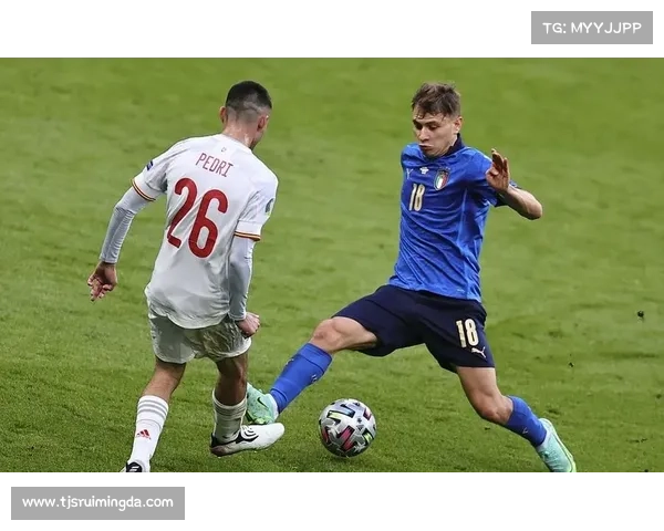 全面解析法甲冠军在欧洲足球体系中的战略价值与深远影响及未来发展前景